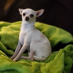 Meet your Posher, Jackie